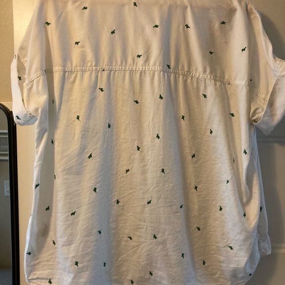 BIN of BUTTON-DOWNS!! Sizes: small med large - Madewell / Eddie Bauer / Gap - Picture 5 of 14